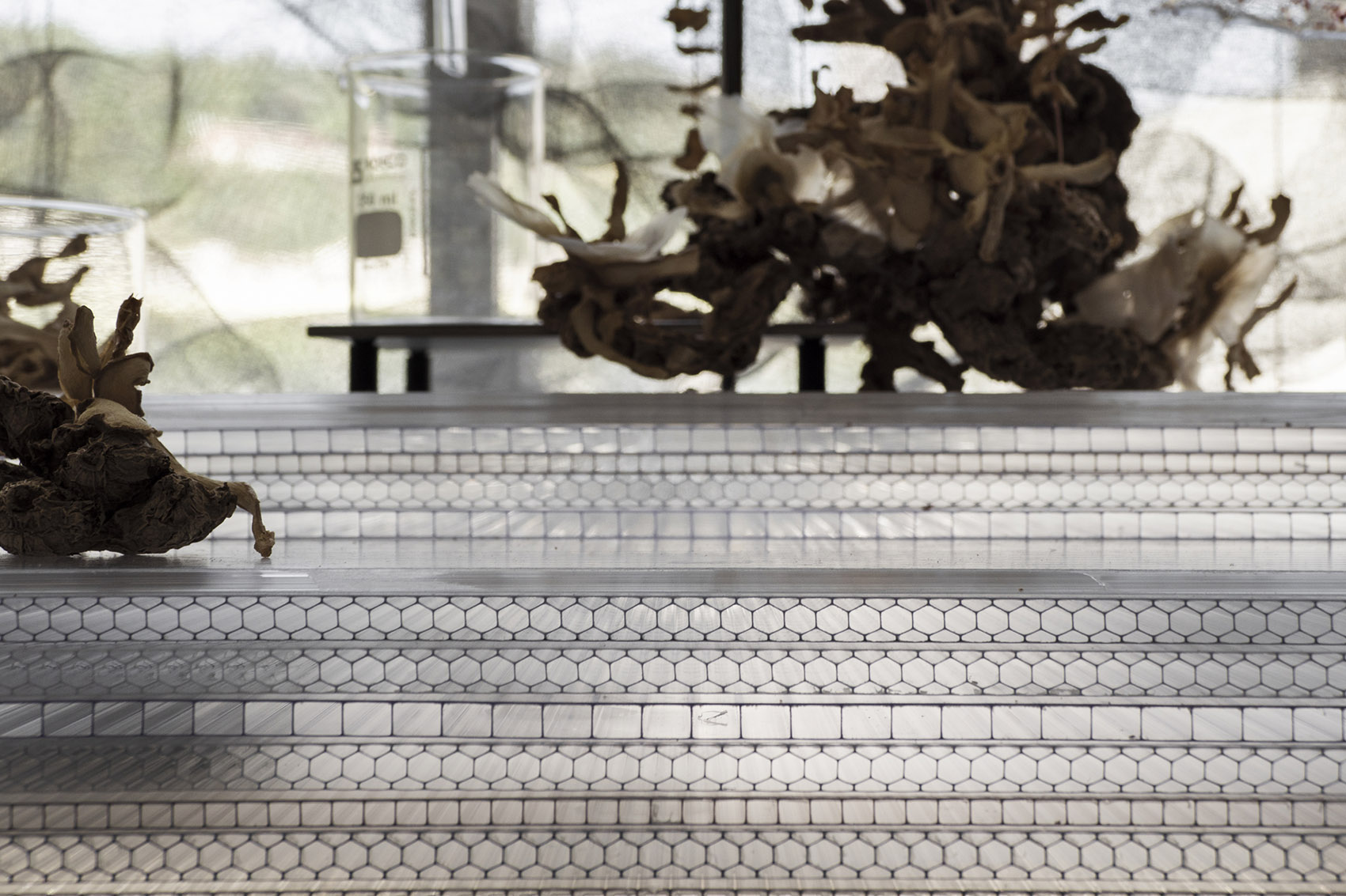 台湾·“碳境”—juliArt头皮理疗中心设计 / 水相