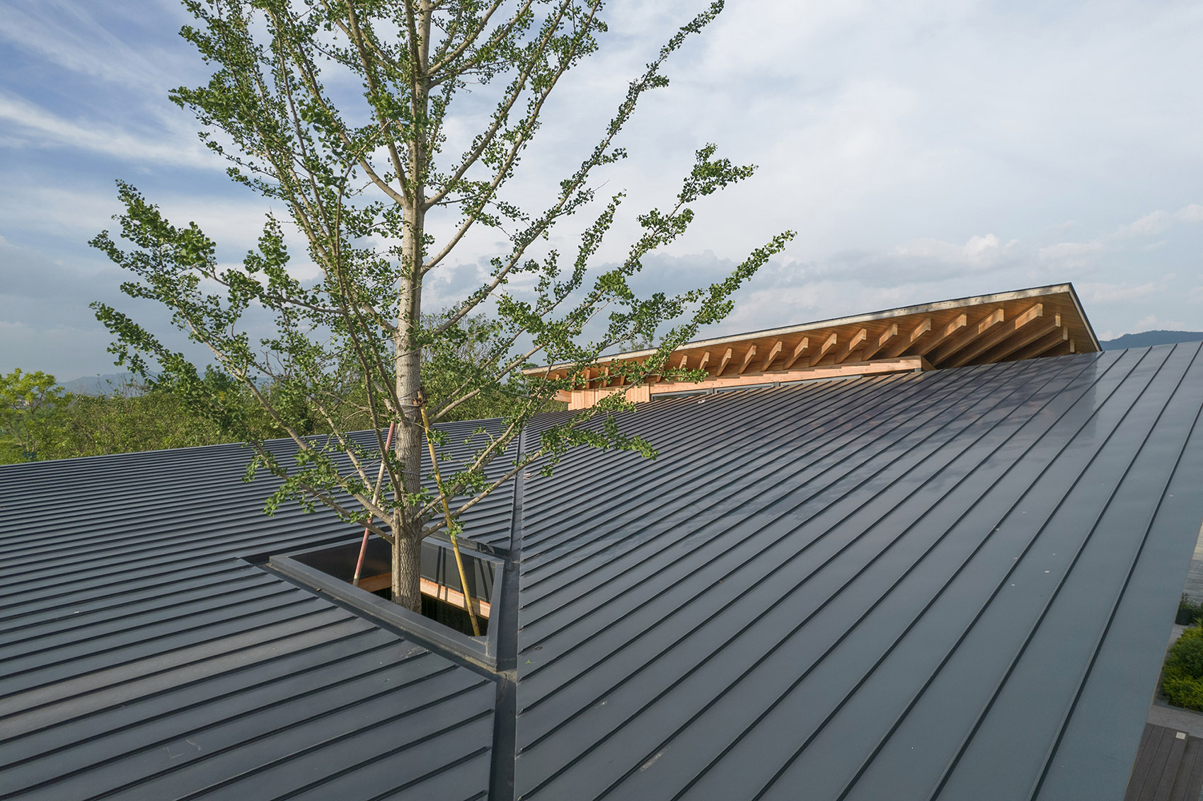 杭州·“阳陂湖湿地”接待中心设计 / 尌林建筑