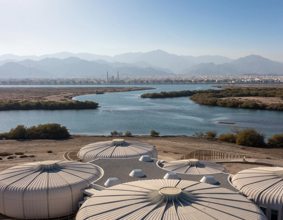 卡尔巴海龟和野生动物保护区&middot;阿联酋 | Hopkins Architects