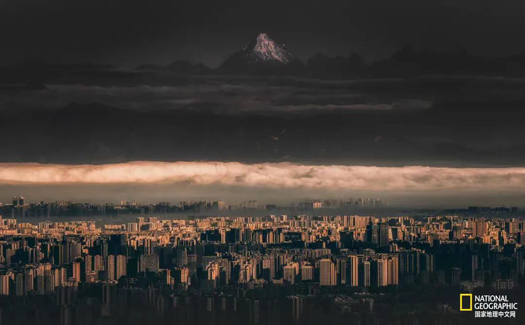 成都·“萬蔚”精品餐厅设计(COSMO店) / IN.X屋里门外