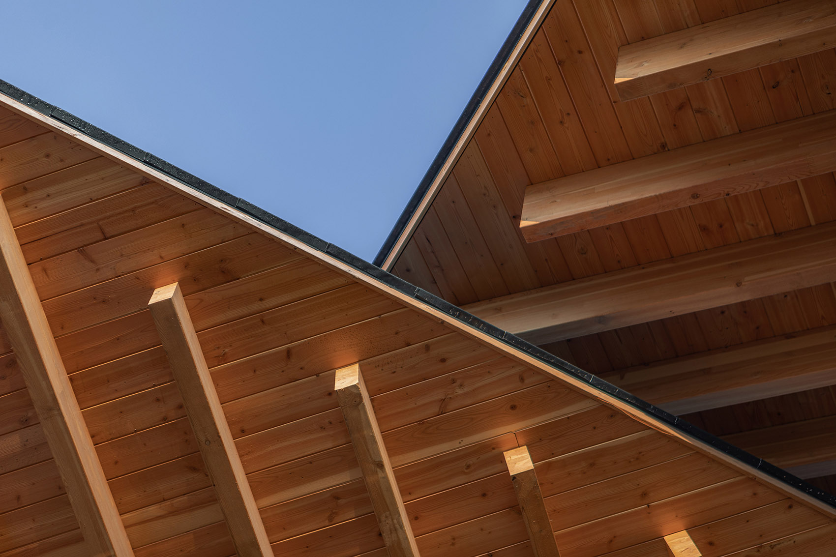 杭州·“阳陂湖湿地”接待中心设计 / 尌林建筑