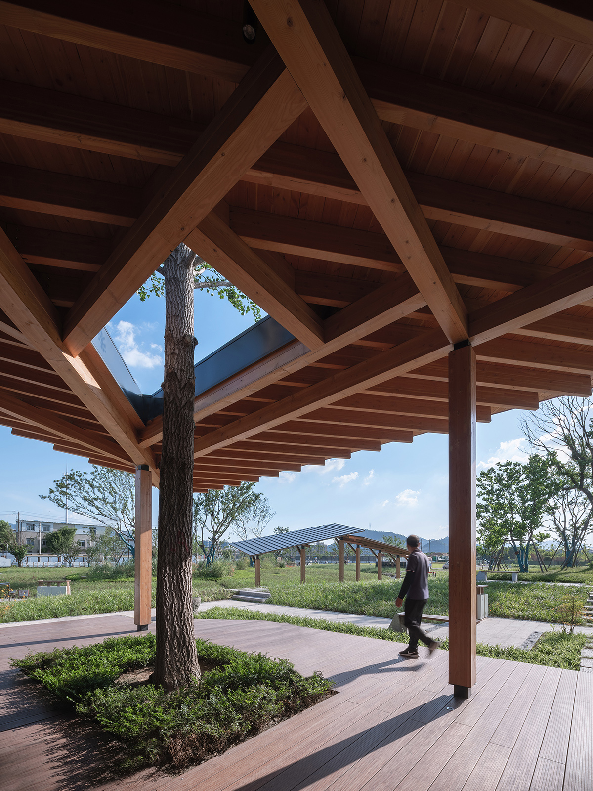 杭州·“阳陂湖湿地”接待中心设计 / 尌林建筑