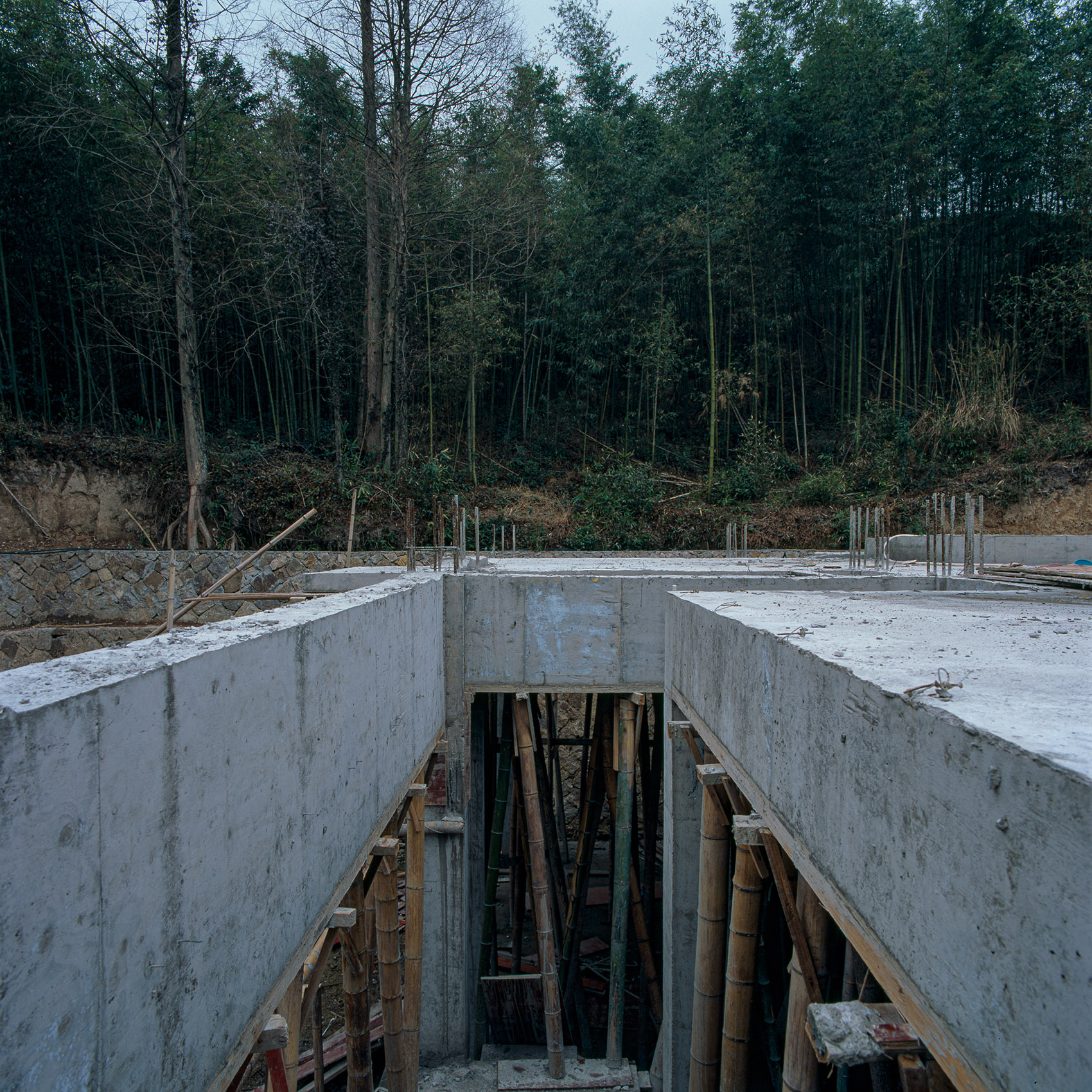 湖州莫干山·“木子林夕云”民宿 / 实在建筑