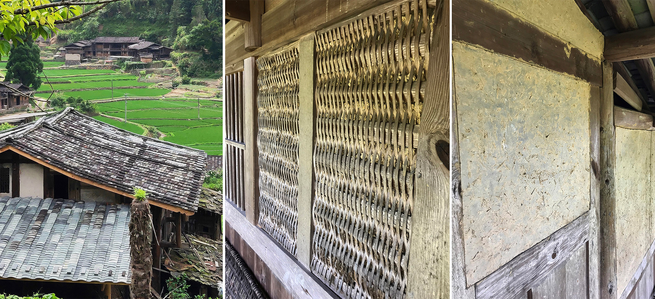 福建泉州·“古杏山舍”民宿设计 / 泛华&amp;回应