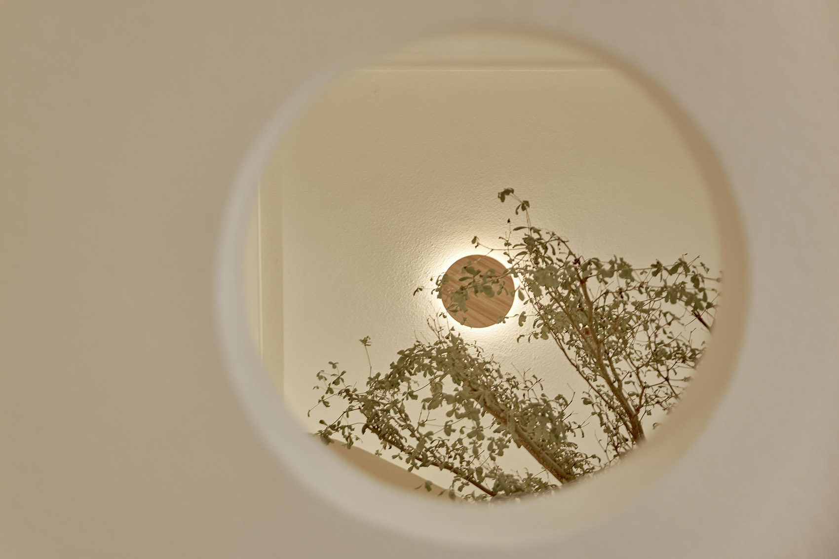 越南胡志明市·September品牌咖啡厅设计 / Red5&amp;Ben Decor