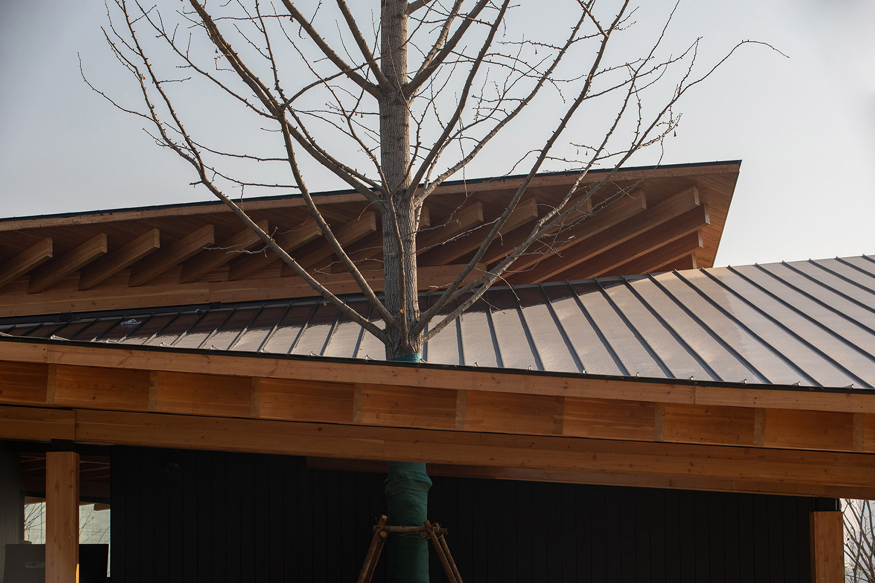 杭州·“阳陂湖湿地”接待中心设计 / 尌林建筑