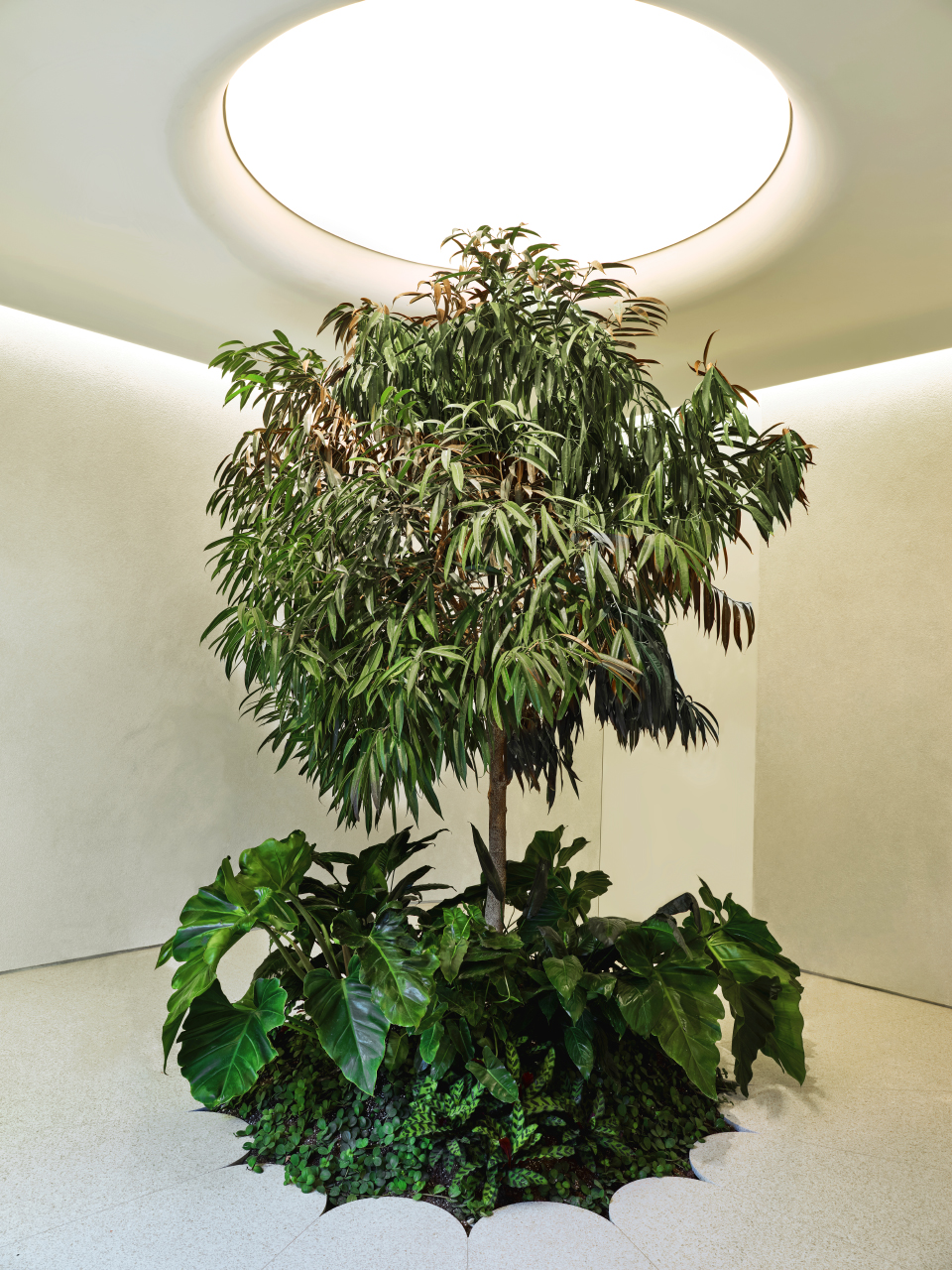 加拿大多伦多·Alchemy旗舰店设计 / Studio Paolo Ferrari