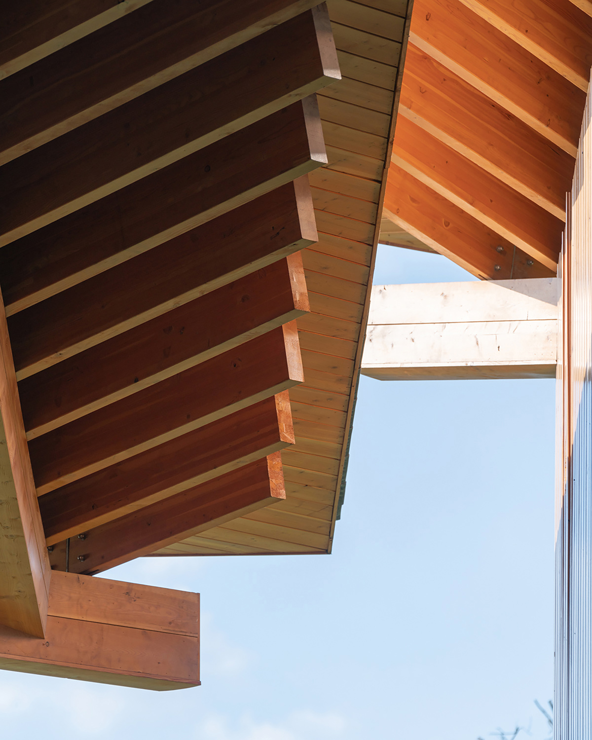 杭州·“阳陂湖湿地”接待中心设计 / 尌林建筑