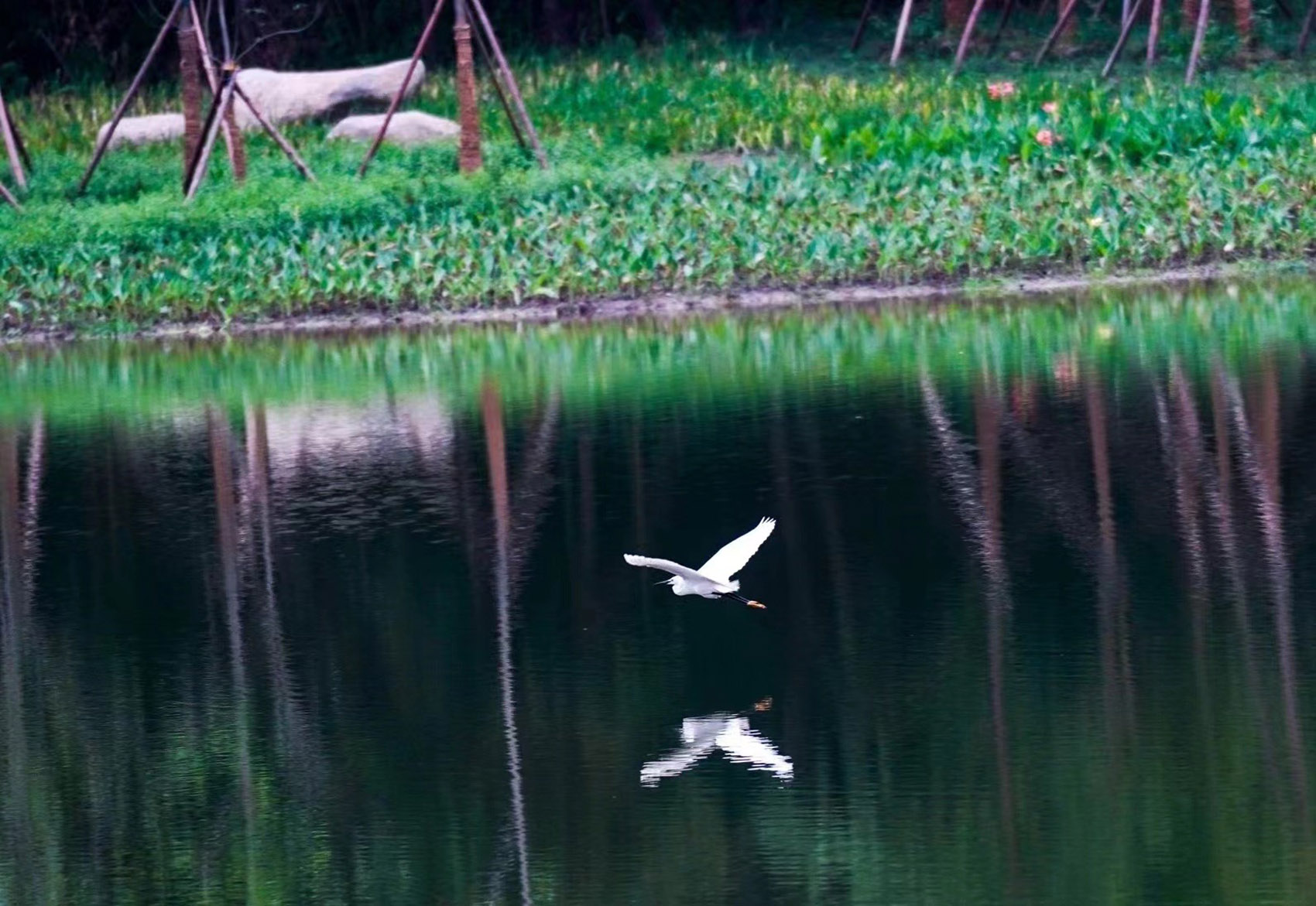 杭州·“阳陂湖湿地”接待中心设计 / 尌林建筑